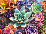 Diamond Painting Kits for Adults and Kids Colorful Succulents  12in x 16in Full Drill - Cozzzy Goods