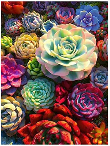 Diamond Painting Kits for Adults and Kids Colorful Succulents   -  12in x 16in Full Drill - Cozzzy Goods
