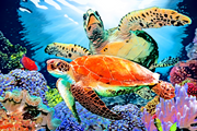 Diamond Painting Kits for Kids and Adults 12in x16in Full Drill Two Turtles and  Ocean Animals 2 - Cozzzy Goods