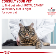 Royal Canin Veterinary Diet Gastrointestinal Fiber Response Dry Cat Food 8.8 lb - Cozzzy Goods