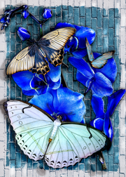 Diamond Painting Kits for Adults 12in x16in Full Drill Beautiful Butterflies with Orchids Flowers - Cozzzy Goods